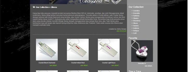 Rumah Flashdisk