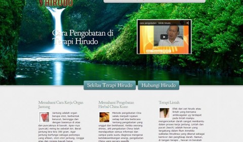 Terapi Hirudo