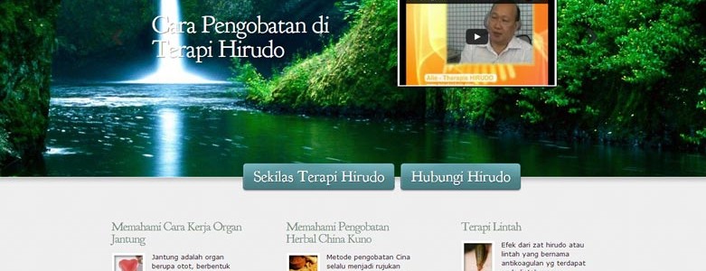 Terapi Hirudo