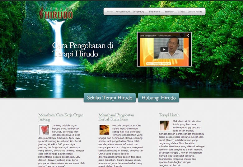 Terapi Hirudo