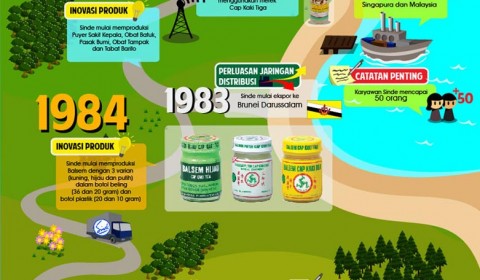 Sinde Budi Infographics