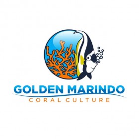 Golden Marindo Logo