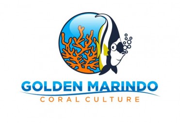Golden Marindo Logo
