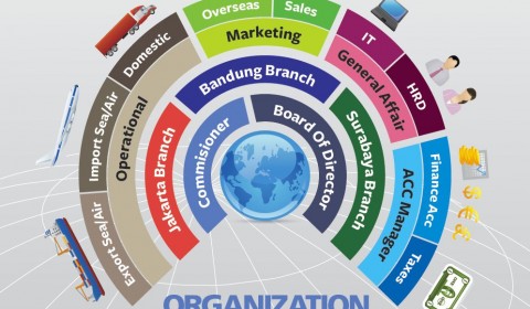 Infographics Organization Structures PT Indoprimatrans