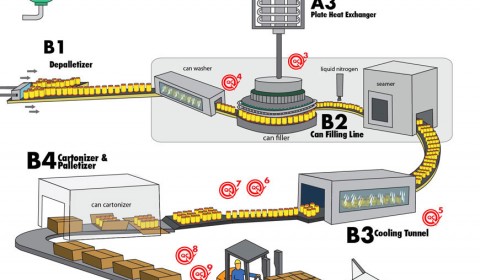 Infographics Sindebudi Can Process