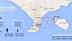 Balindo Trans Fast Boat Infographics