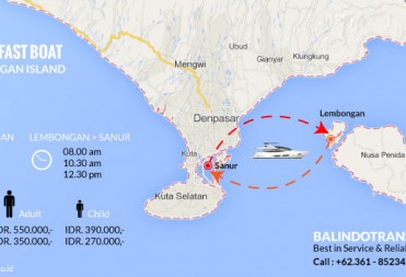Balindo Trans Fast Boat Infographics